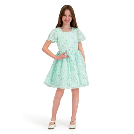Kensie Girl Cap Sleeve Sequin Butterfly Soutache Mesh Dress Now $8.07